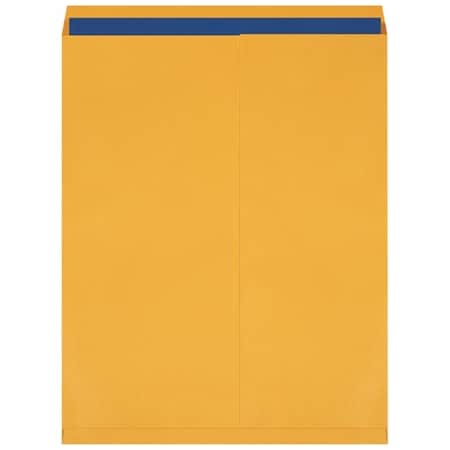 Bsc Preferred 24 x 30'' Kraft Jumbo Envelopes, 100PK BUY00020721